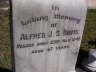 Alfred