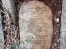 Reginald, Susannah and William